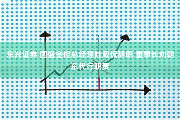 东兴证券 国盛金控总经理陆箴侃辞职 董事长刘朝东代行职责