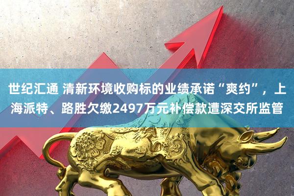 世纪汇通 清新环境收购标的业绩承诺“爽约”，上海派特、路胜欠缴2497万元补偿款遭深交所监管