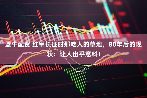 盟牛配资 红军长征时那吃人的草地,80年后的现状:让人出乎意料!