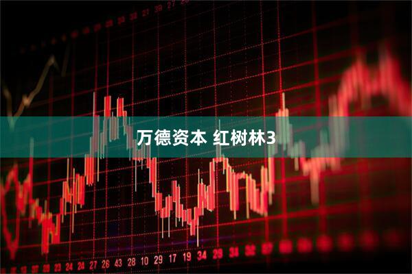 万德资本 红树林3