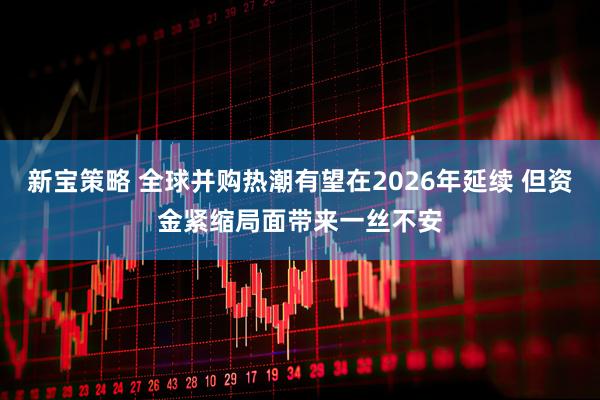 新宝策略 全球并购热潮有望在2026年延续 但资金紧缩局面带来一丝不安